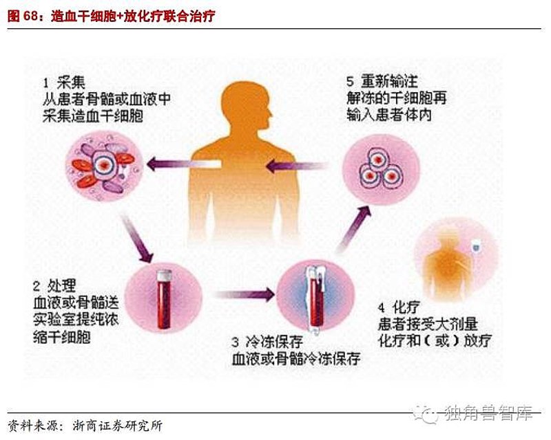 细胞治疗技术前沿：重塑医疗新篇章