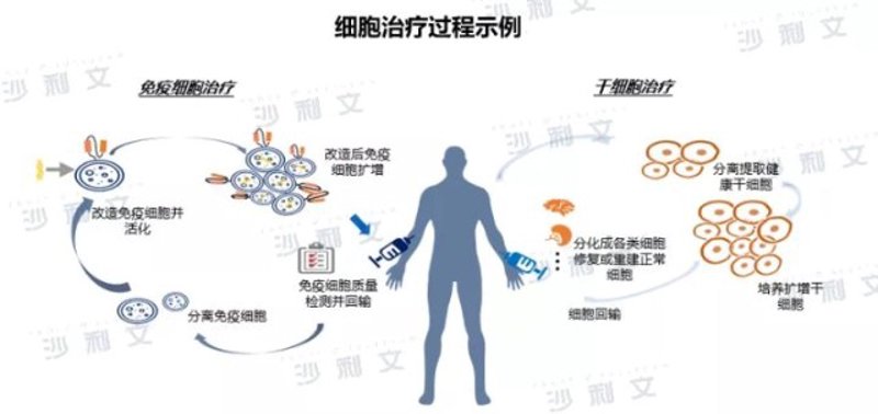 生物科技公司:引领未来的绿色力量