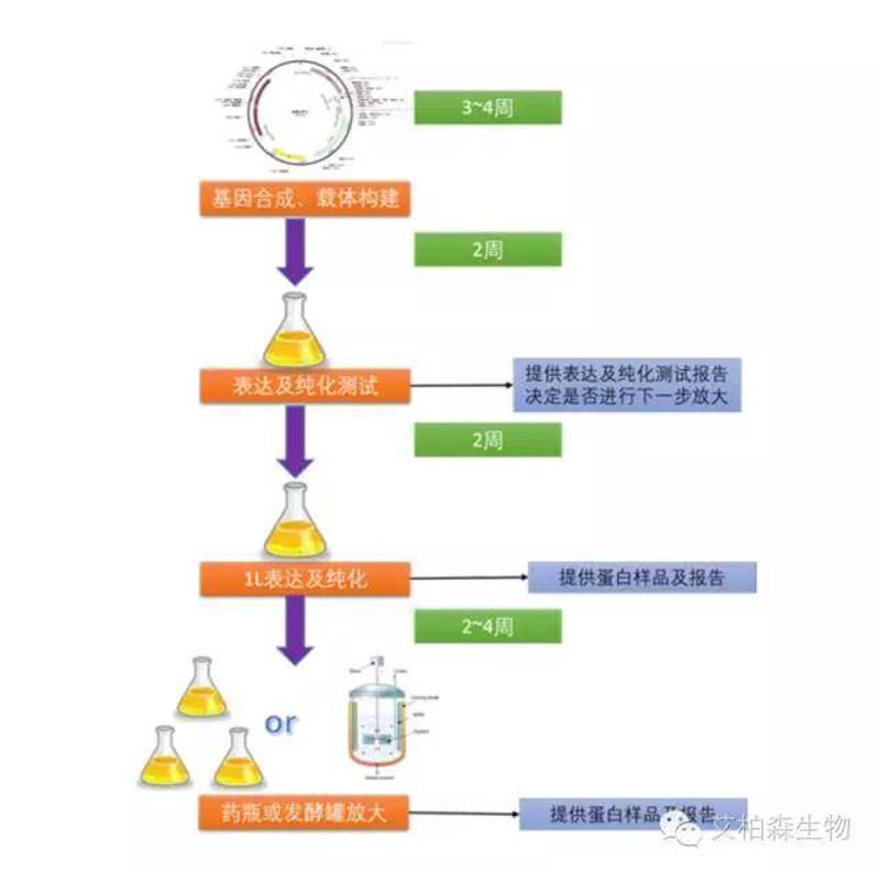 生物科技引领未来医疗变革